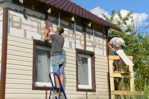 Best Stucco Siding  in Milford, IA